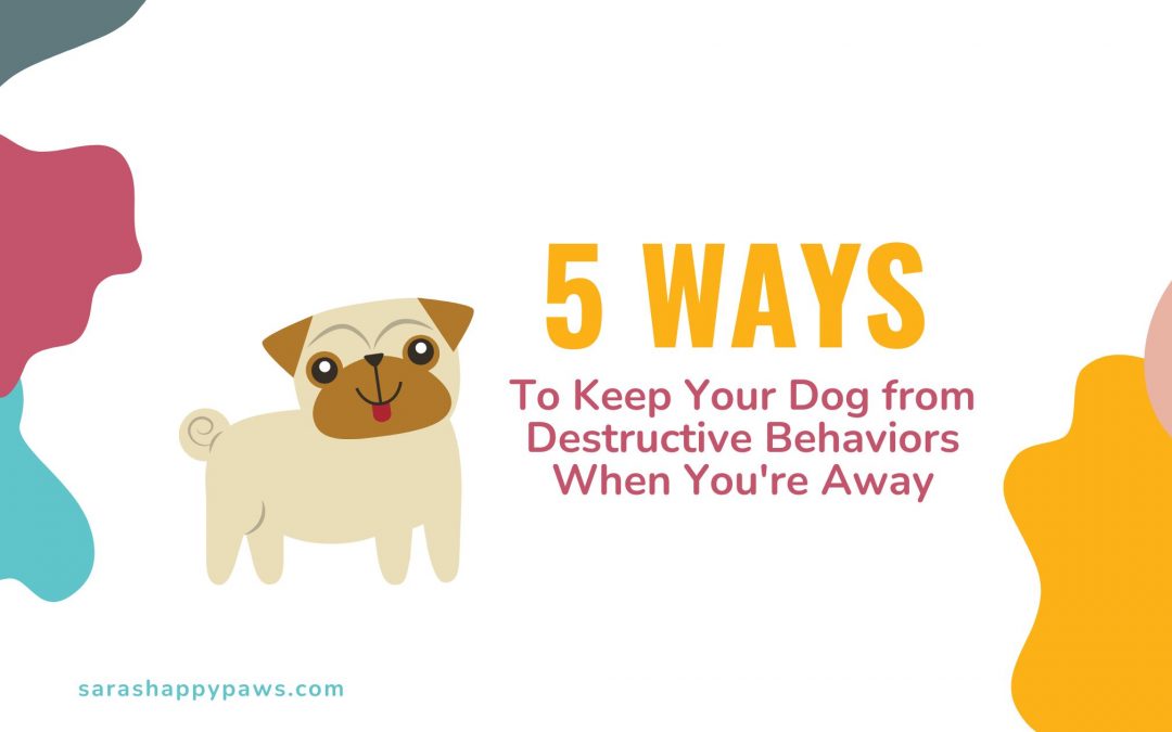 5 Ways to Keep Your Dog from Destructive Behaviors When You’re Away