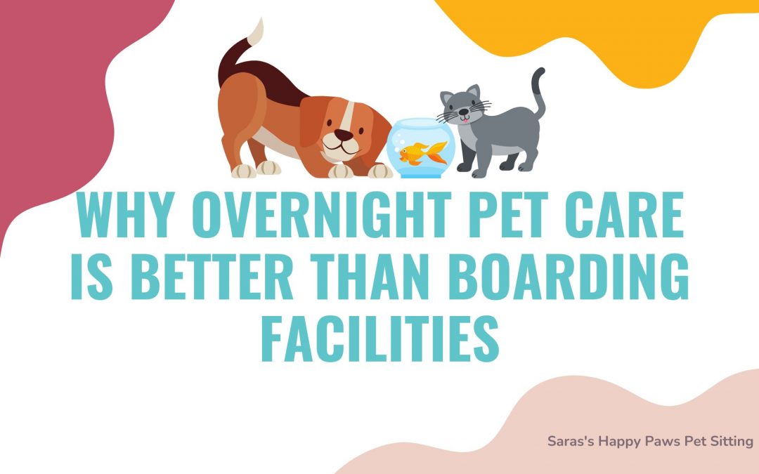 Why Overnight Pet Care is Better Than Boarding Facilities: The Saras Happy Paws Difference
