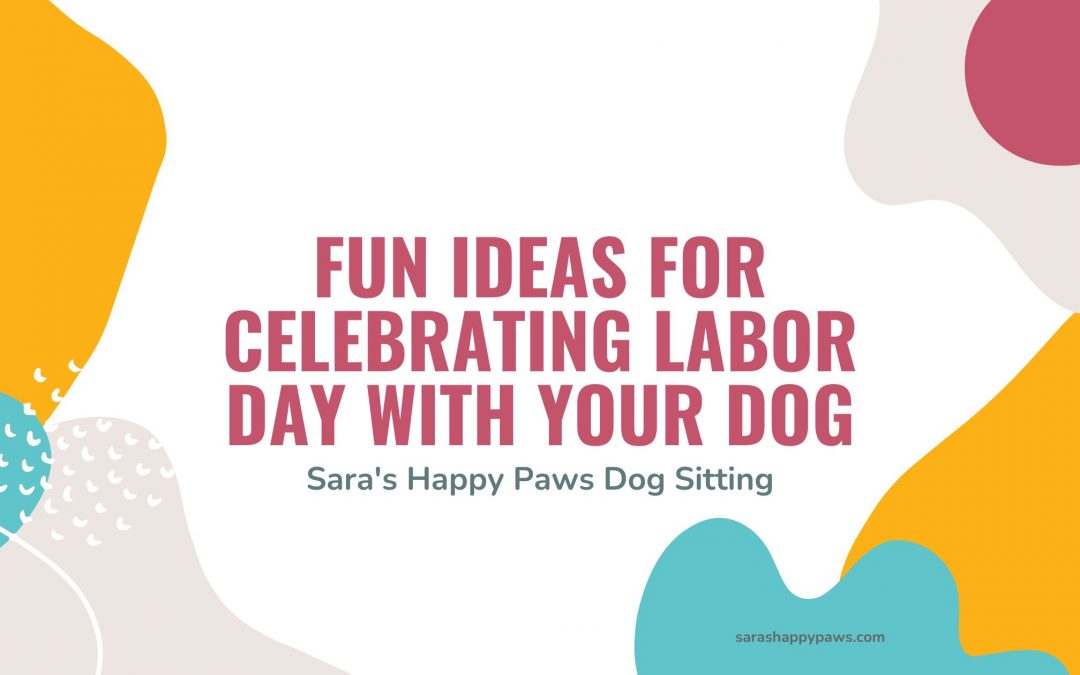 Fun Ideas for Celebrating Labor Day with Your Dog Saras Happy Paws dog sitting st.george utah